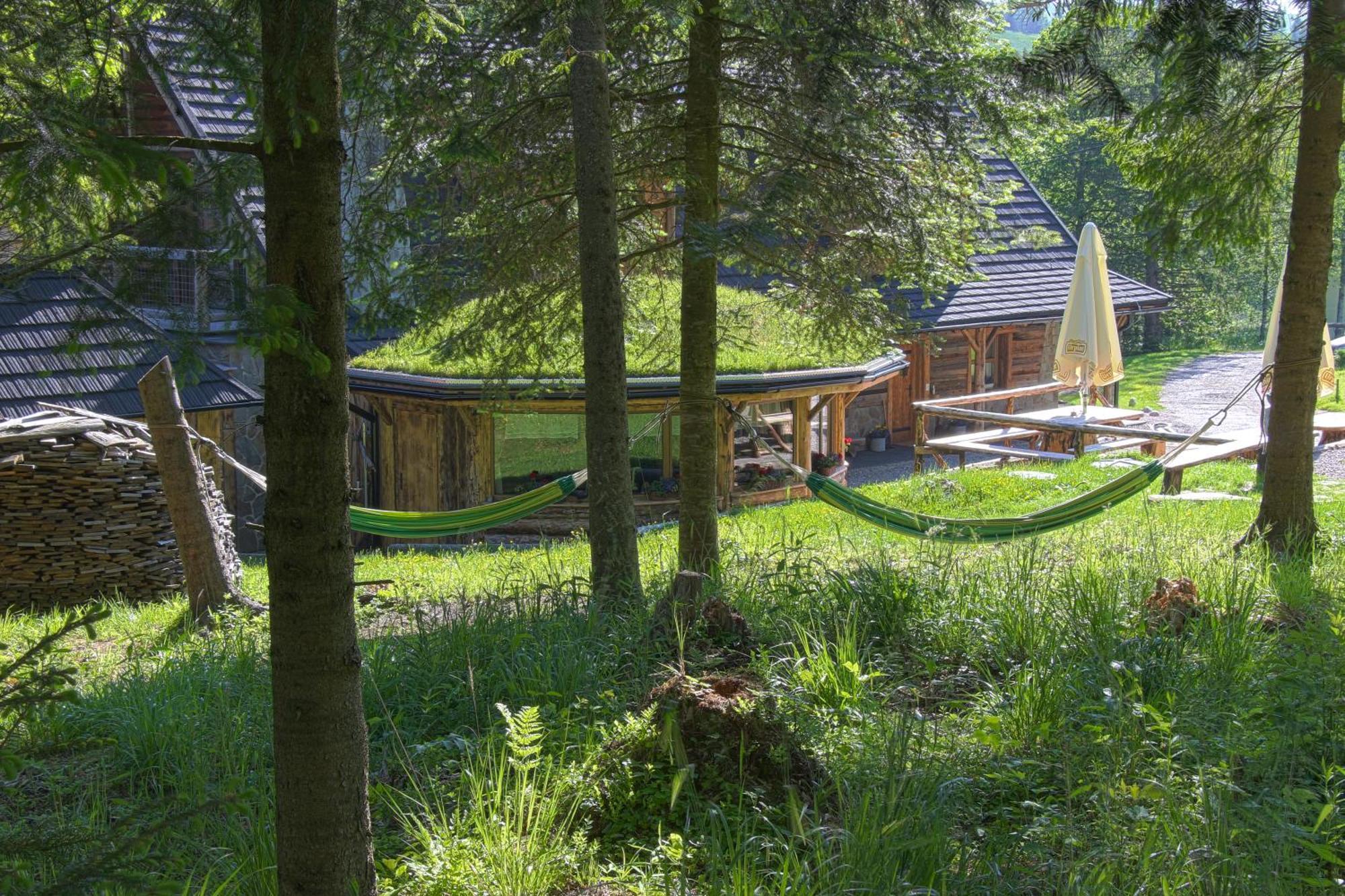 Chata Baba Yaga Zdiar Ngoại thất bức ảnh